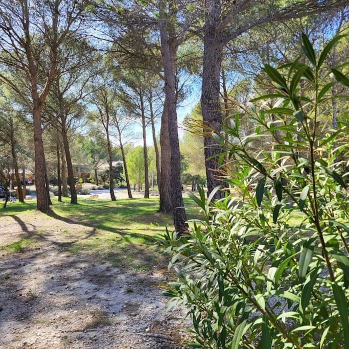 La Calade Apartamento LʼIsle-sur-la-Sorgue Exterior foto