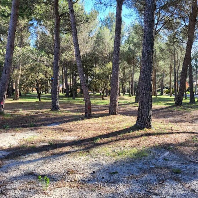 La Calade Apartamento LʼIsle-sur-la-Sorgue Exterior foto